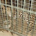 ���� �������, ������������ - ��������� 5 ���� 2010 � ������ �������