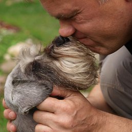 ���� ���������, ������, 66 ��� - ��������� 14 ���� 2010