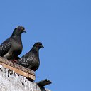 �� ��������� ����� �� ������� ���� ������ �����