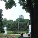 ���� ���, �����-���������, 33 ���� - ��������� 16 ������� 2013 � ������ ���� ����������