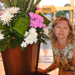 ���� ������, ����������, 54 ���� - ��������� 24 ���� 2013