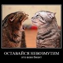 ��������������� ������ ��������� http://vkontakte.ru/app1905375 �� ������� ���� ����������