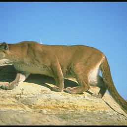 ���� ������, �������� - ��������� 5 ������ 2010