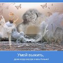 ���� �����, �����-���������, 57 ��� - ��������� 18 ������� 2012 � ������ ���� ����������