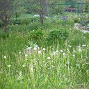 ���� ����@, ��������, 62 ���� - ��������� 29 ��� 2010 � ������ ��������� �������