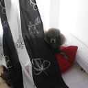 ���� ����, �����-���������, 34 ���� - ��������� 7 ������� 2010