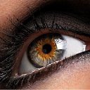  ,  , 23  -  12  2011       