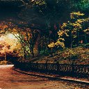  Wit, , 59  -  8  2009    