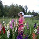 ���� ���������, �����-��������� - ��������� 8 �������� 2012