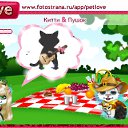  , , 39  -  19  2010   PetLove