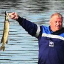 ���� �������, �������, 73 ���� - ��������� 25 �������� 2012