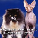 ���� �����(������� �������� � Ѹ��������), �������-���������, 46 ��� - ��������� 16 ������� 2012 � ������ ���� ����������