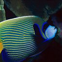 ���� ����� - ���������� ��������!!!, �����������, 56 ��� - ��������� 12 ������ 2010 � ������ ������