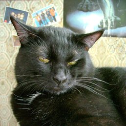 ���� Natalia, �������� - ��������� 27 ������� 2010