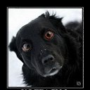 ���� ������, ������������, 44 ���� - ��������� 5 ���� 2013 � ������ ���� ����������