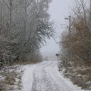 ���� �������, �����, 69 ��� - ��������� 22 ������ 2012 � ������ ���� ����� ���