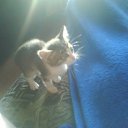 ���� ���������, �����������, 35 ��� - ��������� 16 ������� 2010 � ������ ������