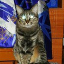 ���� �������, ������������, 45 ��� - ��������� 24 �������� 2010