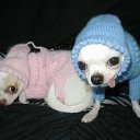 ���� �����, ������, 26 ��� - ��������� 25 ���� 2010 � ������ ���������