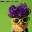 ���� ������, �������, 55 ��� - ��������� 6 ���� 2012 � ������ ���� ����������