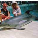  , , 58  -  4  2011   .