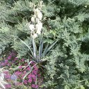 ���� Maverik_1, �������, 64 ���� - ��������� 16 ���� 2011 � ������ �1�