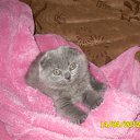 ���� ������, ��������, 48 ��� - ��������� 22 ������ 2012 � ������ ���� ��������