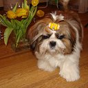 ���� �����, ����������, 57 ��� - ��������� 3 ������� 2012 � ������ ���� ����������