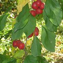 ��������� �������� ������ �� ������� �� � ��� �����Ż