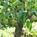 ���� ��������, ����, 53 ���� - ��������� 23 ���� 2009 � ������ ������������