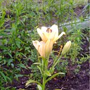 ���� �������, ������, 71 ��� - ��������� 11 ���� 2012 � ������ ������)))�