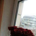 ���� �����, ���� - ��������� 7 ���� 2012 � ������ ������