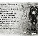���� ����, ����������, 33 ���� - ��������� 27 ������� 2010
