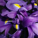 ���� Yiwangna***, ������ - ��������� 5 ��� 2013 � ������ ���������� ����� �������...�