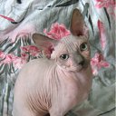 ���� ������, �����-���������, 47 ��� - ��������� 7 ���� 2012 � ������ �2012�