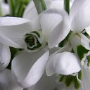 ���� ��������, ���������, 64 ���� - ��������� 16 ������ 2012 � ������ �������