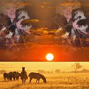 ���� ��������, ����� - ��������� 3 ���� 2011 � ������ ���� ����������