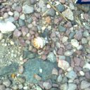 ���� ���������, �����������, 43 ���� - ��������� 11 ������ 2012 � ������ �_.-;(*,!,*);-,_�