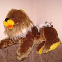 ���� �����, ��������, 48 ��� - ��������� 7 ������� 2011 � ������ �����