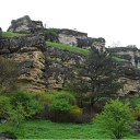 ���� ���������, ������, 61 ��� - ��������� 28 ��� 2011 � ������ ������ � �����������