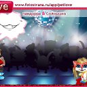 ���� �����, ���������, 22 ���� - ��������� 20 ������� 2011 � ������ �PetLove�