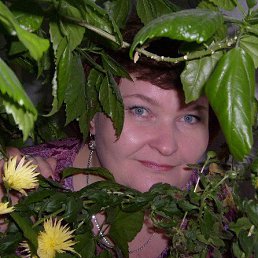 ��, ������, 59 ���