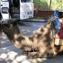 ���� ����, �������� ������ - ��������� 15 ������� 2011 � ������ ��������