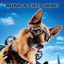 ���� "@����", �����-���������, 25 ��� - ��������� 26 ������� 2010 � ������ �Catc &amp; Docs�