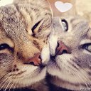 ���� [�����], �����������, 35 ��� - ��������� 27 ���� 2013 � ������ ���� ����������
