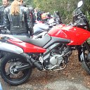 ���� [Why Not?], ������, 33 ���� - ��������� 22 ������ 2010 � ������ ���� ��������� ��������)�