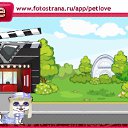  , , 24  -  12  2011   PetLove