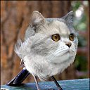 ���� ����, �������, 50 ��� - ��������� 5 ������ 2011