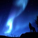 ���� �������� )), ������, 64 ���� - ��������� 12 ��� 2012 � ������ �������