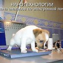   D* Tuta,  -  10  2009     